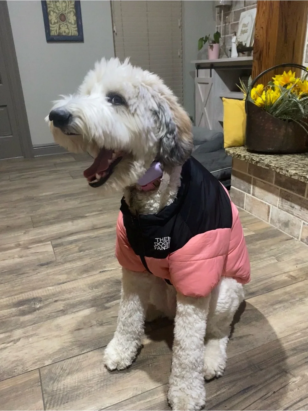 Pink and Black Dog Jacket with Drawcord Hem